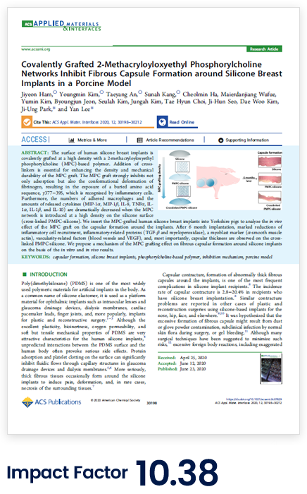 Impact Factor : 10.38