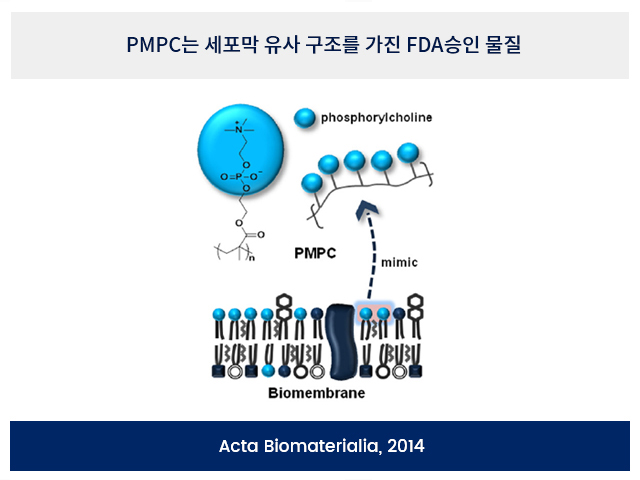 최적의 생체안전성 최적의 생체안전성