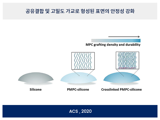강화된 안정성 강화된 안정성